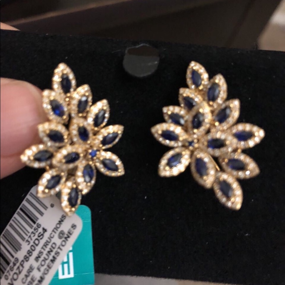 Earrings, jewelry